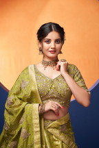 OLIVE GREEN BANARASI BROCADE LEHENGA SET
