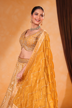 Mustard Majesty – Banarasi Weave & Zari Lehenga