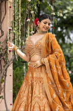 Amber Royale Banarasi Weave Bridal Lehenga