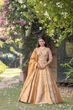 Sunlit Sunehri Royale Banarasi Bridal Lehenga
