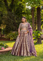 Royal Rust Aura Zari-Woven Banarasi Lehenga