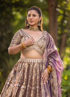 Royal Rust Aura Zari-Woven Banarasi Lehenga