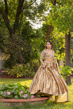 Regal Sunehri Royale Banarasi Bridal Lehenga